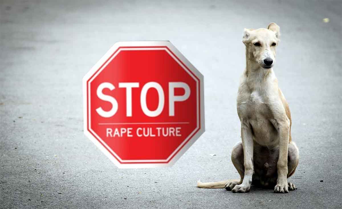 Man raped street dog in Ambernath